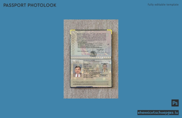 Vorschau des Passfotos (Version 2) für den italienischen Reisepass